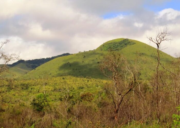 Chyulu Hills Birdwatching
