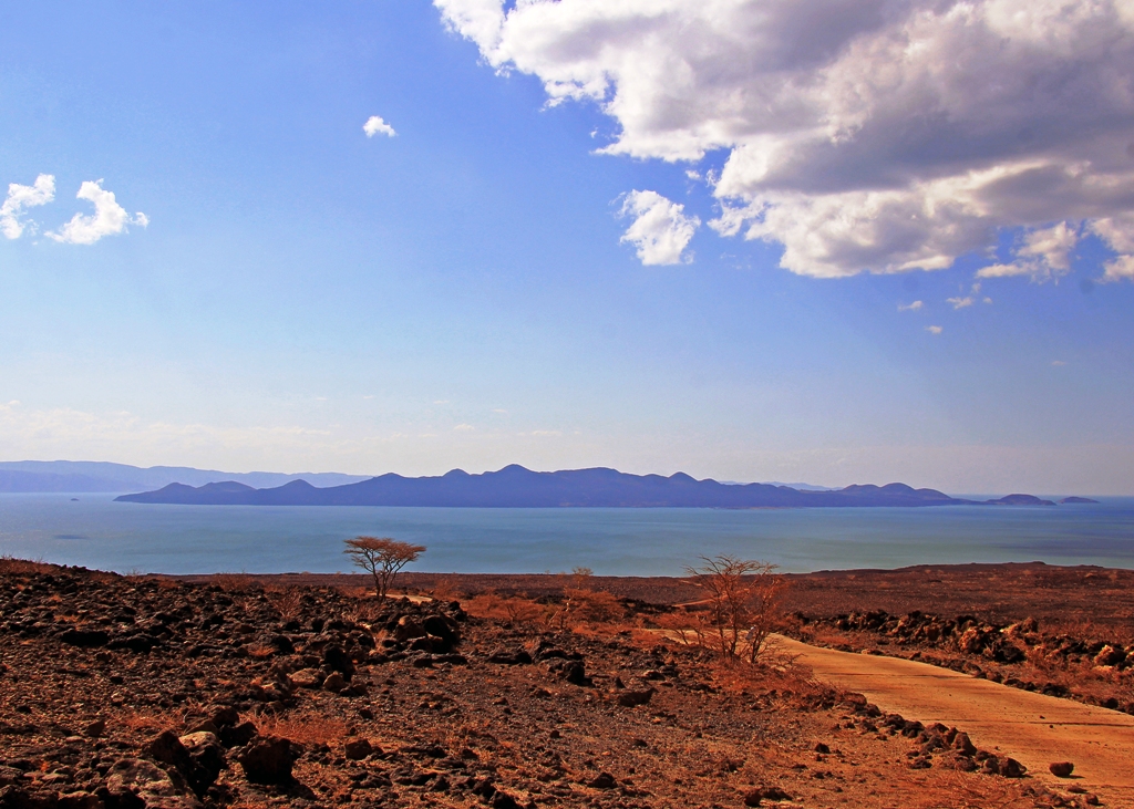 Lake Turkana birding