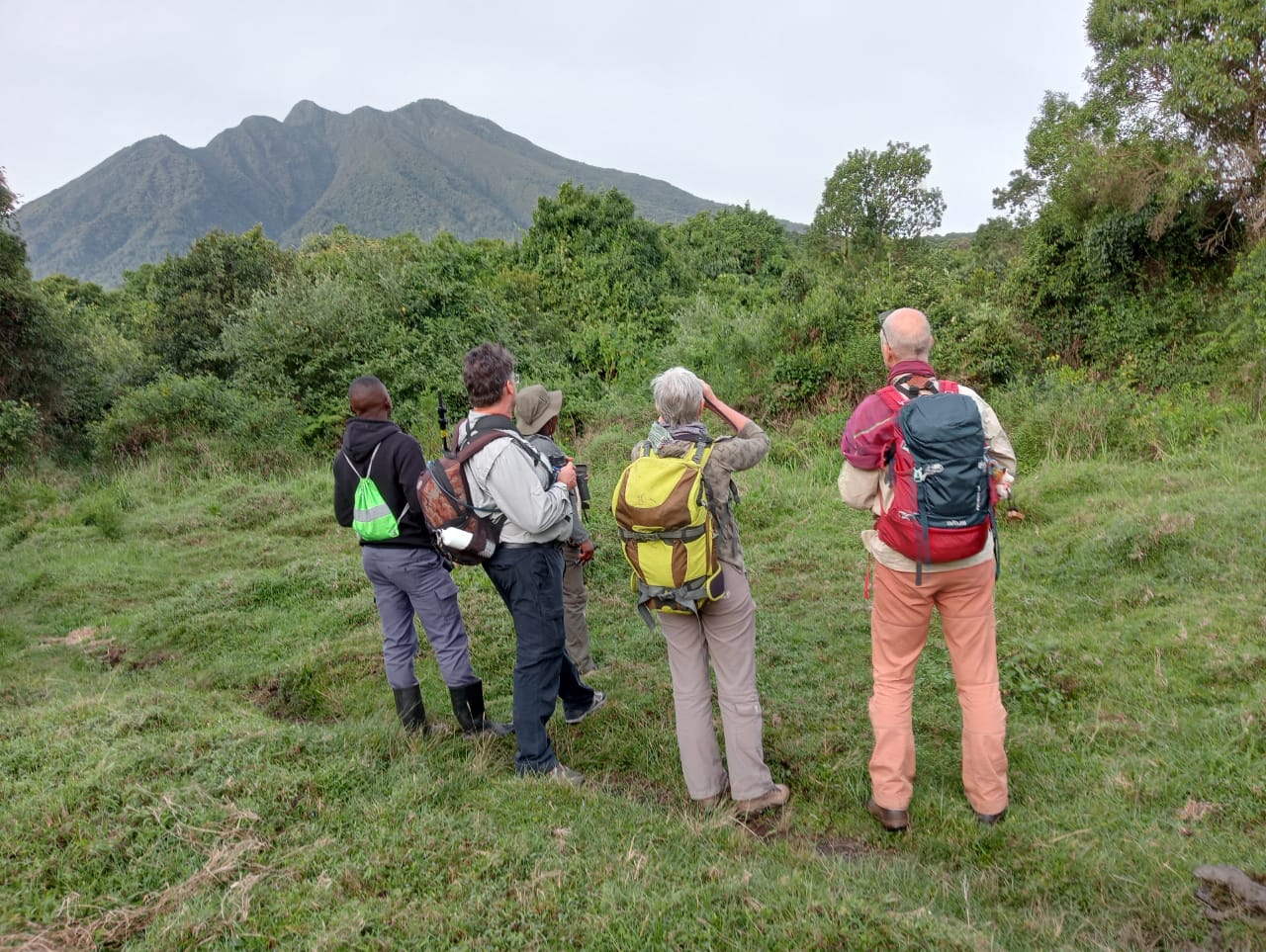 Birdwatching Uganda