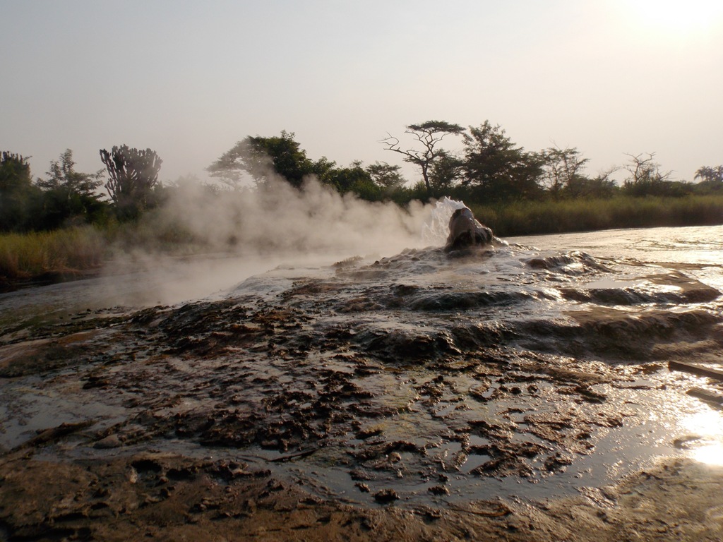 Birdwatching Safaris Uganda