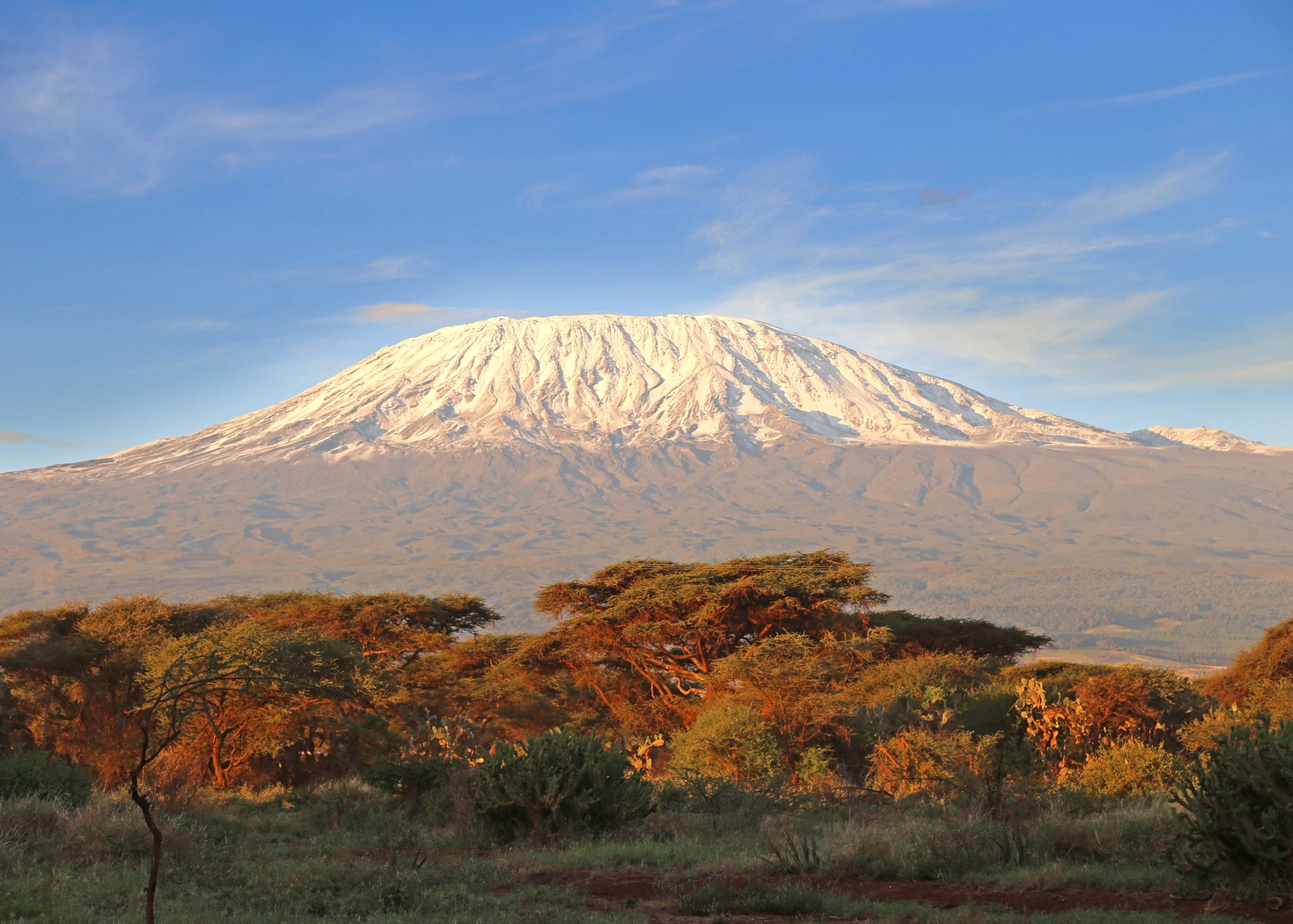 Kilimanjaro_Amboseli Birding Amboseli Birding