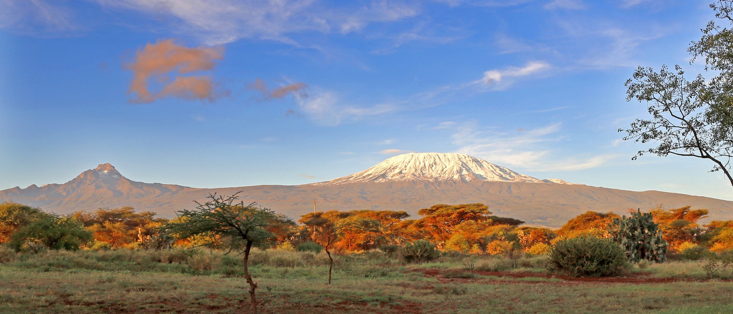 Amboseli Birding